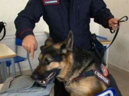 Contro le armi controlli con metal detector in una scuola a Napoli