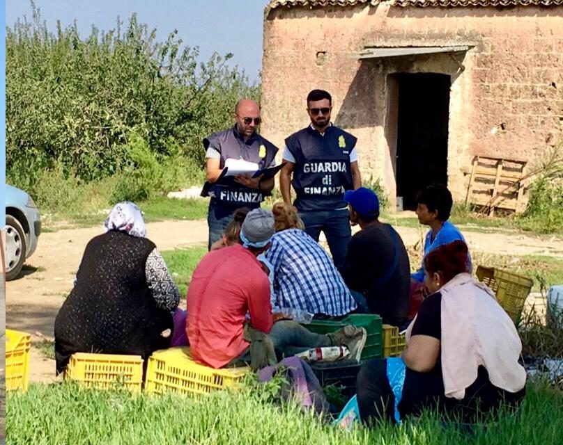 GdF: lotta al caporalato, arresti nel Casertano per sfruttamento GdF: lotta al caporalato, arresti nel Casertano per sfruttamento