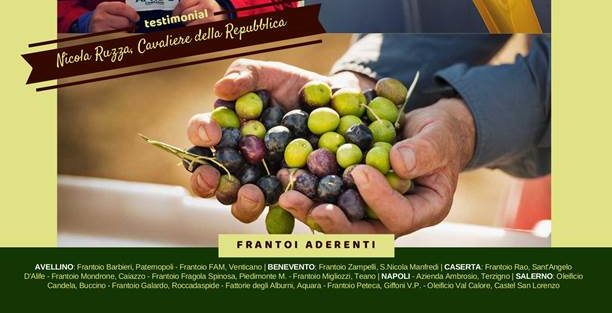 Olio evo e solidarietà, Aprol: domani frantoi aperti in Campania Olio evo e solidarietà, Aprol: domani frantoi aperti in Campania