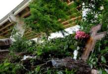 Il Ponte Morandi come Aqualonga: stesse carenze da vertici di Aspi