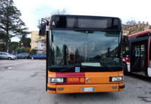 Trotta Bus: un terzo degli autobus sono fuori servizio, a rischio anche le linee principali