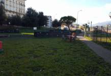 Sabato 13 settembre presso il Fido Park si terrà il “Microchip Day”