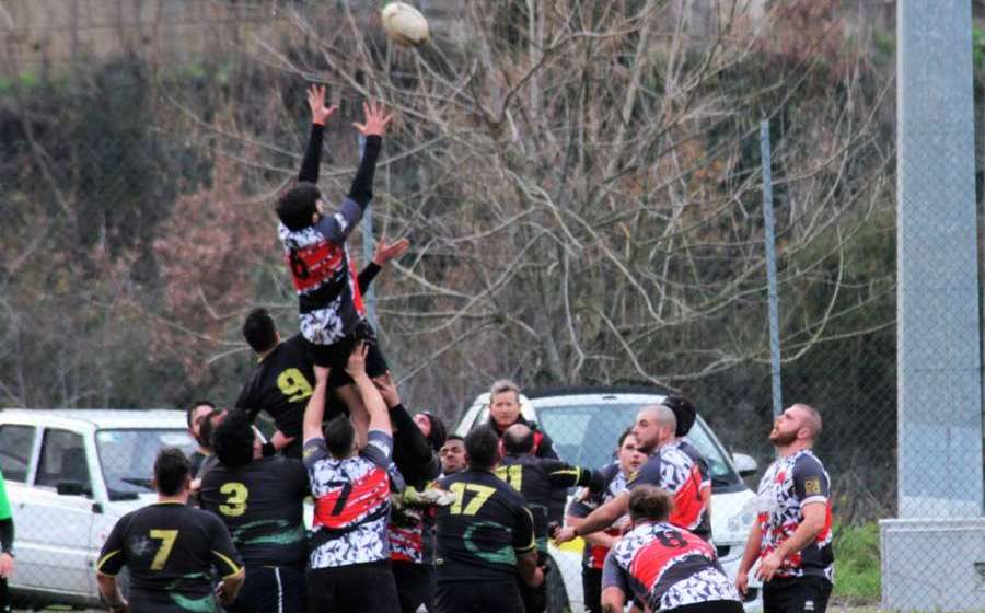 Prima gara dei playoff di serie B: i Dragoni Sanniti travolgono il Cosenza Prima gara dei playoff di serie B: i Dragoni Sanniti travolgono il Cosenza
