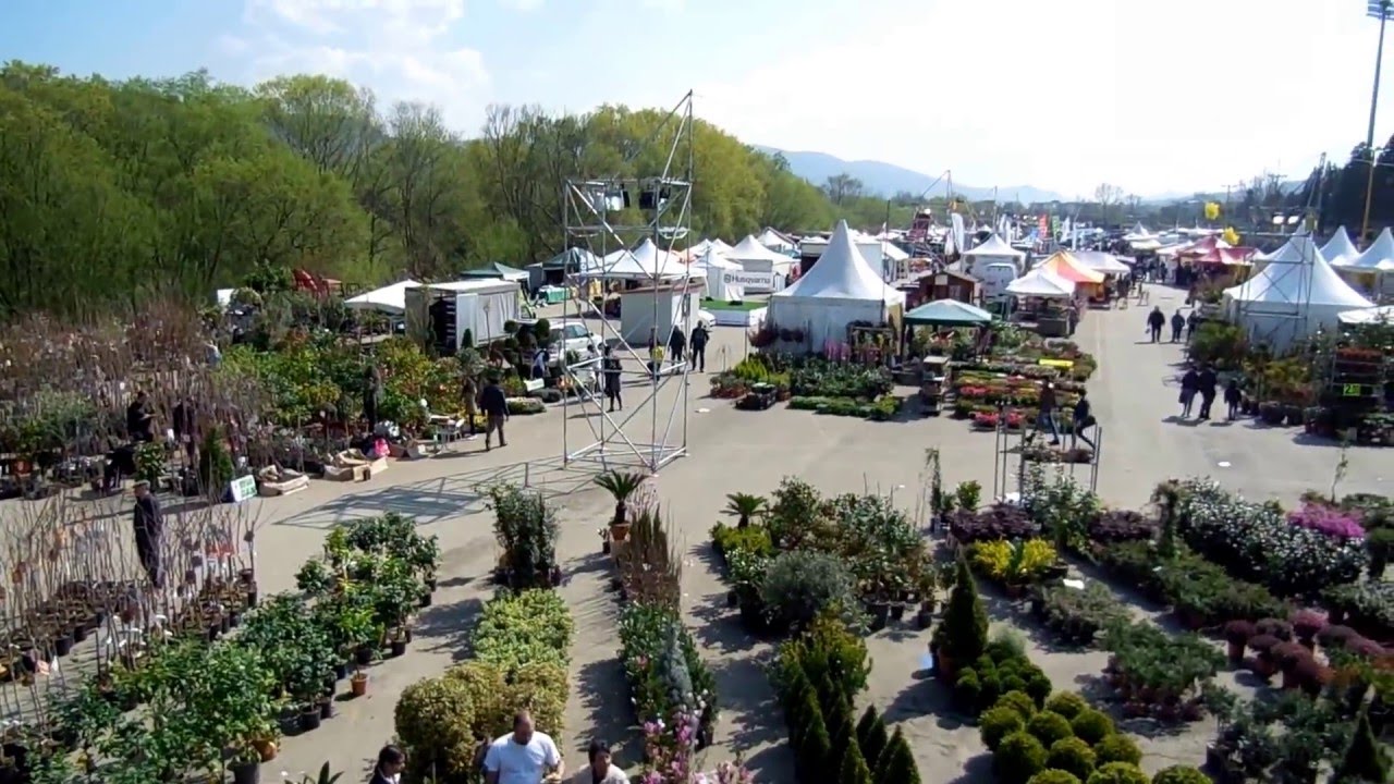 La Fiera di San Giuseppe si aggiorna nel programma street food e musica La Fiera di San Giuseppe si aggiorna nel programma street food e musica