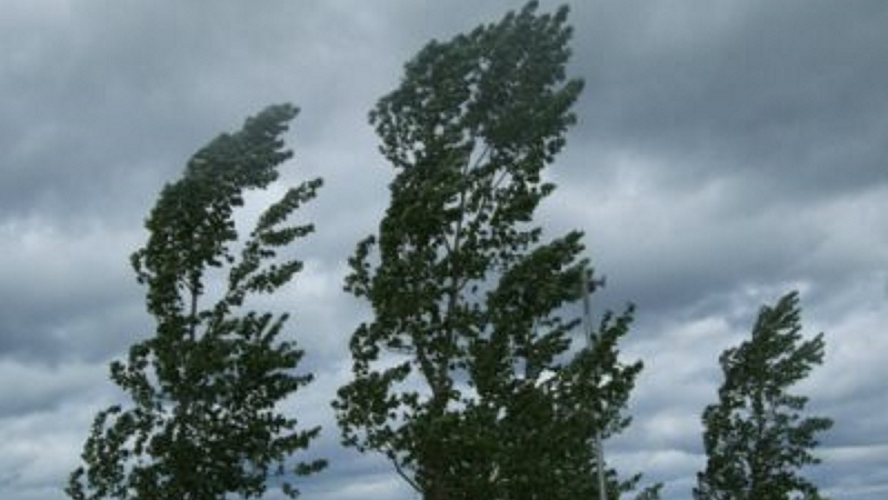 Forti raffiche di vento e mare agitato, allerta meteo in Campania Raffiche di vento