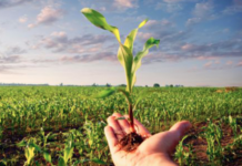 Profagri inaugura una nuova figura professionale: l’Agrotecnico specializzato