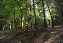 Multato per musica troppo alta sul Taburno a Ferragosto: presentato ricorso