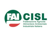 Grave situazione per i lavoratori Idraulico-forestali: l’appello della FAI CISL
