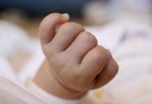 Bimba di 5 mesi rapita da casa-famiglia nel Casertano