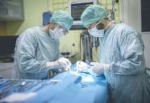 Medico dell’Asl Veterinaria aggredito, Europa Verde: “Deriva preoccupante”