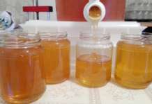 I mieli dei prati dei Monti del Matese Presidio Slow Food