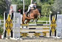 L’equitazione, uno sport che conquista: l’interesse crescente degli italiani