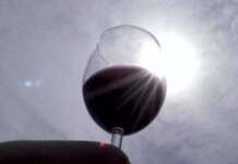 Vino, la proposta di Barone a Veronafiere: “Nel Sannio un evento di Vinitaly”