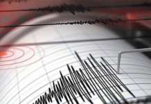 Scossa di magnitudo 3.3 nel Golfo di Policastro