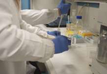 Acque contaminate in Campania, allarme da Regione: “Molti superamenti, le zone interessate”