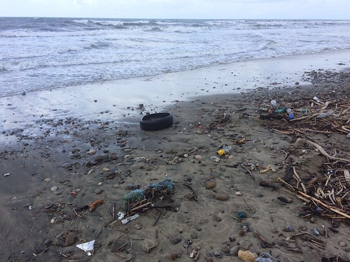 castel volturno oltre 10mila accendini raccolti sulle spiagge da Anteprima24.it castel volturno oltre 10mila accendini raccolti sulle spiagge