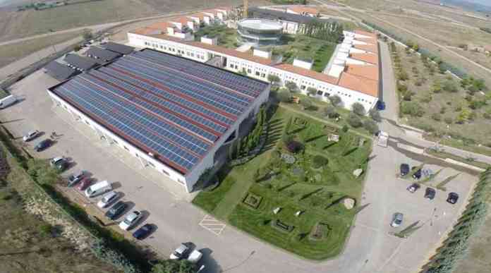 Biogem