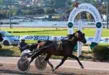 Ippodromo di Agnano, da domani riapre l’area tribune