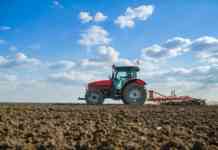 Tavolo Verde Regione Campania: 75 milione di euro alle Imprese agricole Campane