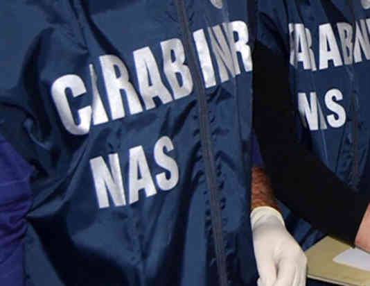 Insetti nei locali di lavorazione, chiuso caseificio nel Salernitano nas