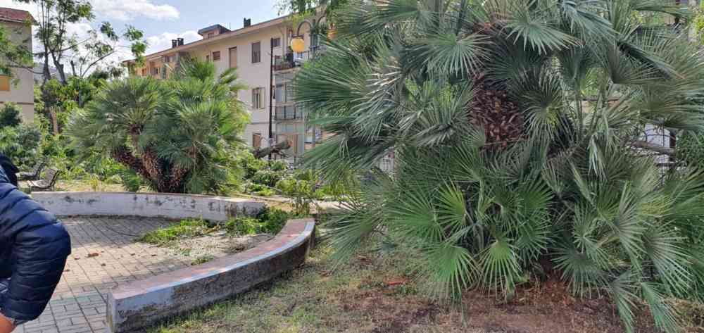 Salerno, sopralluogo del sindaco nelle aree colpite dal tornado (FOTO) Salerno, sopralluogo del sindaco nelle aree colpite dal tornado (FOTO)