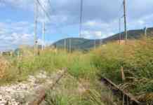 Ferrovia Valle Caudina, Fucci: “Inaccettabile dichiarazione di De Gregorio”