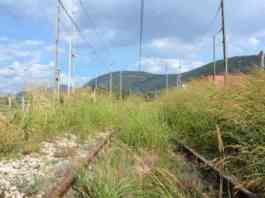 “Da sei anni la linea ferroviaria con Napoli è sospesa”: petizione delle associazioni