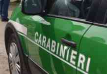 Sorpresi a cacciare uccelli migratori, due bracconieri denunciati