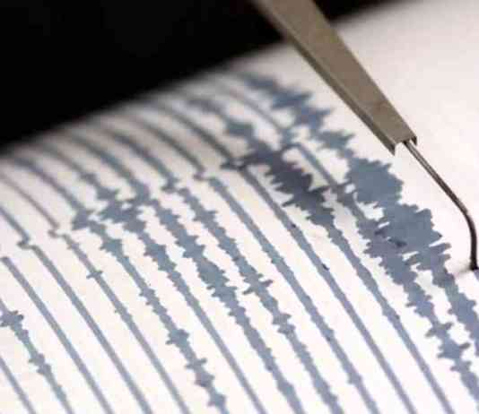 Sciame sismico, ancora una scossa ai Campi Flegrei Sismografo, terremoto