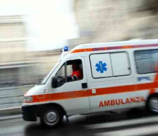 Colpito da un albero, finisce in un burrone: grave un 60enne