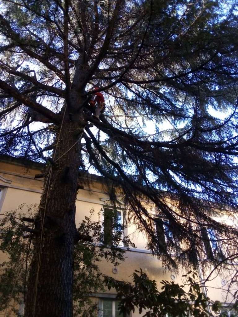 Liceo Scientifico Da Procida di Salerno i lavori alla succursale di via Urbano II Liceo Scientifico Da Procida di Salerno i lavori alla succursale di via Urbano II