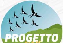 ‘Progetto San Nicola’: “Sul Palazzo Baronale la contraddizione del sindaco Vernillo”