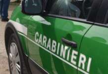 Sequestrata area di 2000 metri quadrati lungo il fiume Sele