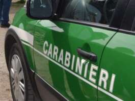 Sequestrato a Eboli sito stoccaggio abusivo di 5mila metri quadri