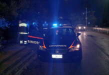 Accendono fuochi in strada e poi aggredisce i poliziotti: denunciati