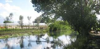 Campania oltre la Terra dei Fuochi: il fiume Sarno, il più inquinato e il più pagato