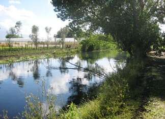 Campania oltre la Terra dei Fuochi: il fiume Sarno, il più inquinato e il più pagato