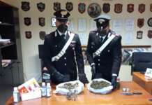 Detenzione illegale di sostanze stupefacenti: un arresto