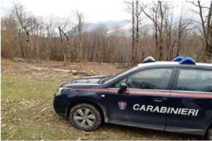 “Distrugge habitat nel Parco Regionale Monti Picentini”: Carabinieri denunciano uomo