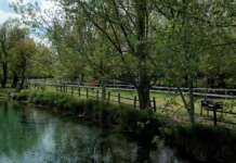 Domenica la terza edizione della “Telesia cross country race”