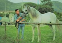 Sport, apre l’equitazione per disabili a Caserta