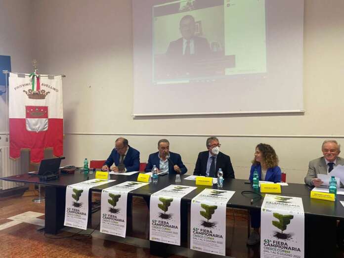 Fiera Venticano