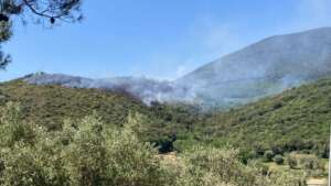 Brucia ancora la Valle Telesina, vasto incendio boschivo alle pendici del Monte Acero