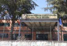 Topi a scuola, il Plesso Pacevecchia non chiude ma corre ai ripari: oggi la derattizzazione