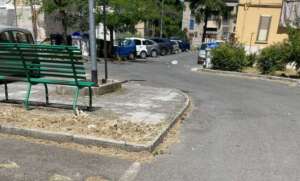 Cura del verde pubblico a Benevento: quando l’intervento è completato… a metà (FOTO)