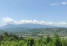 Dopo due anni di assenza torna il “Progetto Gaia, il mondo nascosto”