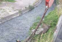 Fiume Irno, vigili del fuoco rimuovono grosso Pino caduto
