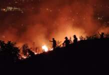 Vasto incendio sul monte Cila: le fiamme lambiscono la strada