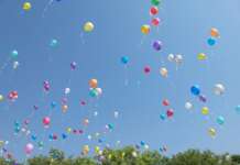 Obbligo di manutenzione delle siepi e stop ai palloncini: le ordinanze del Comune di Montesarchio