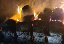 Limatola, rotoballe a fuoco: i caschi rossi domano le fiamme